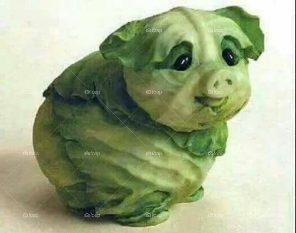 Vegetable Art Cabbage