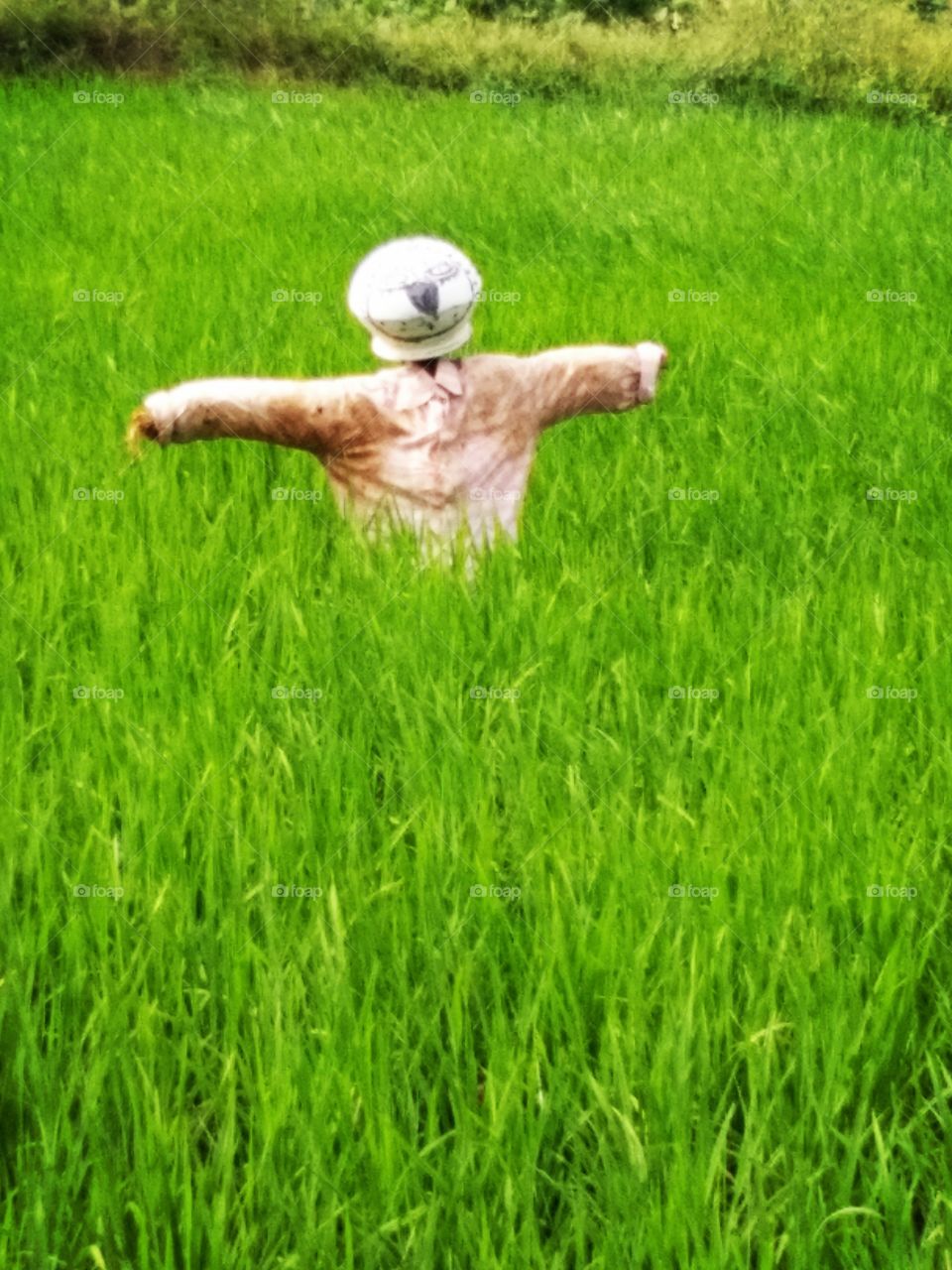 cholocate toy is very beautiful at look this toy