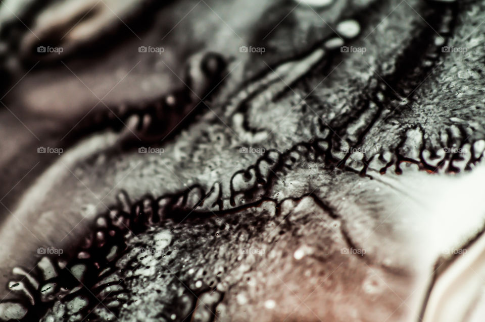 Black and white abstraction.