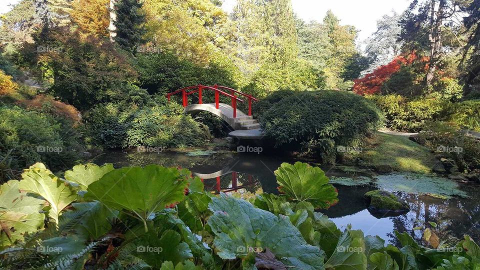 # Kubota garden
Ones again I took this picture from my Samsung galaxy S6 
Kubota gardens is a stunning landscapes hidd6in south Seattle 
The Gardens are a spectacular setting of hills and valleys, interlaced with streams, waterfalls, ponds, bridges, and rock out-croppings with a rich array of plant material. 