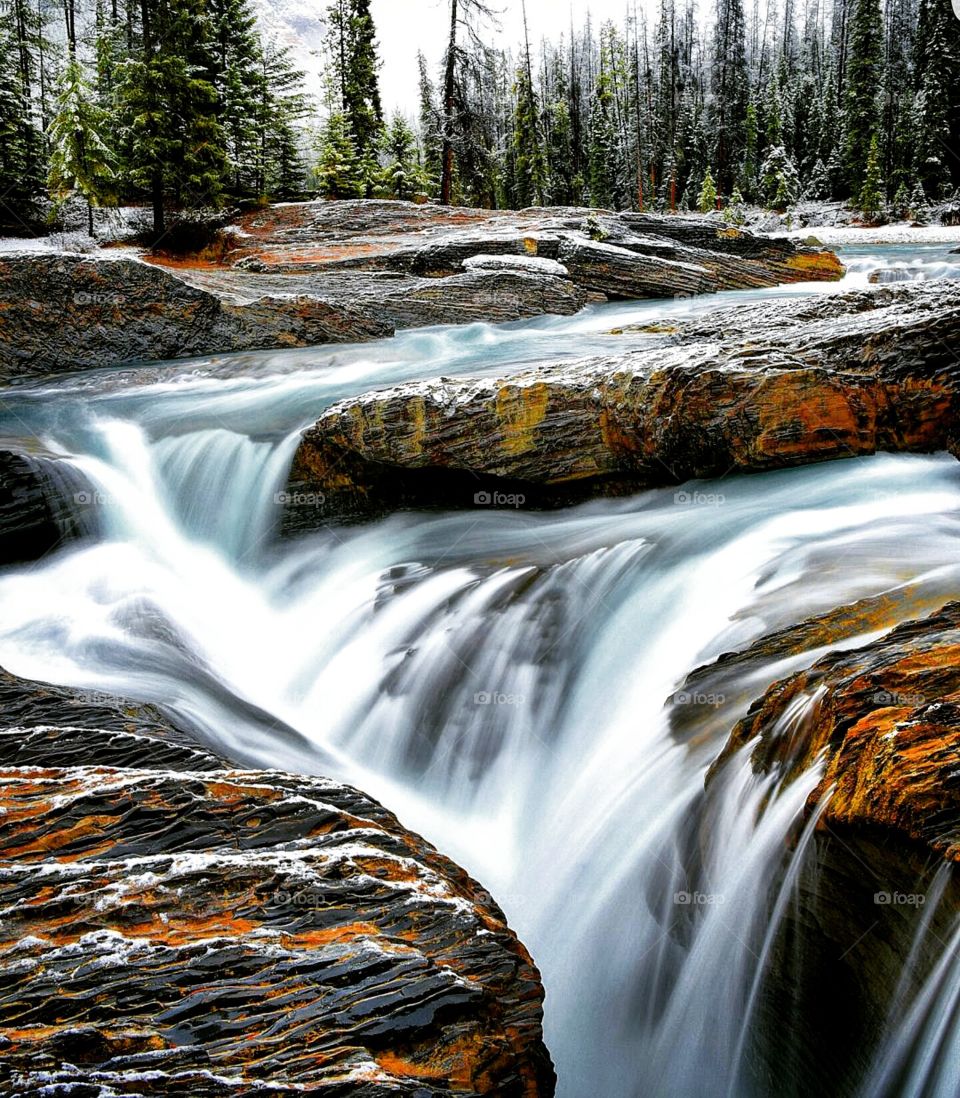 Water, Waterfall, Stream, River, Creek