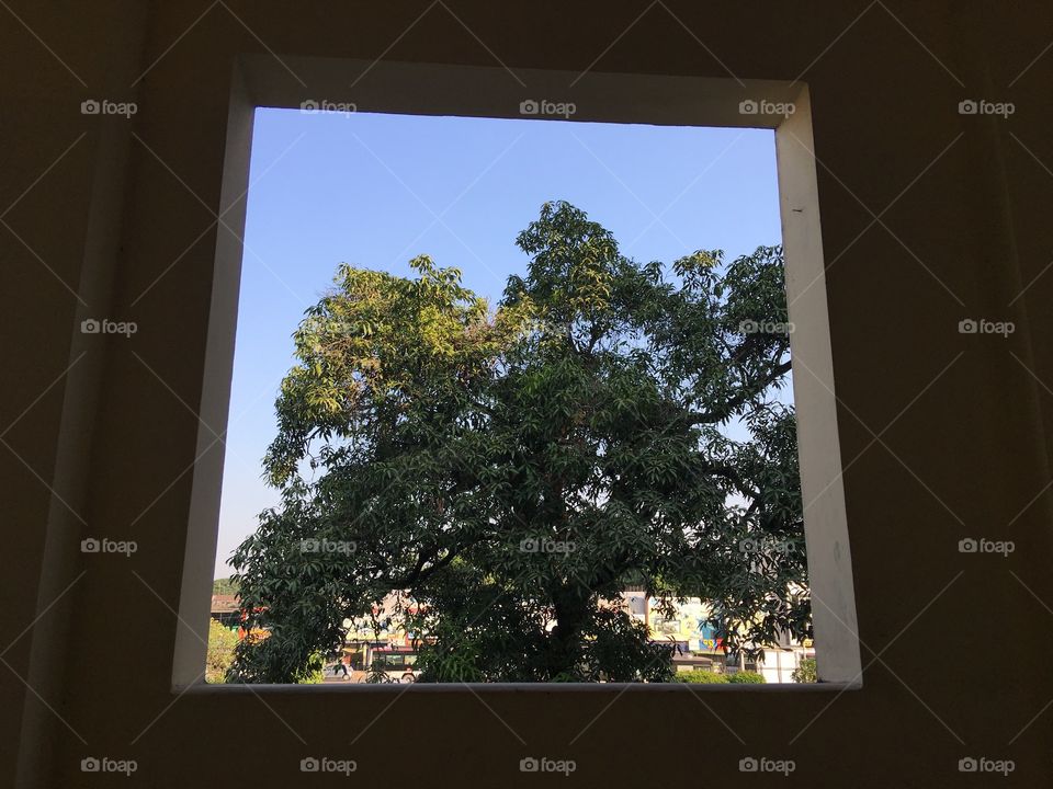 Seeing the sun light outside from inside