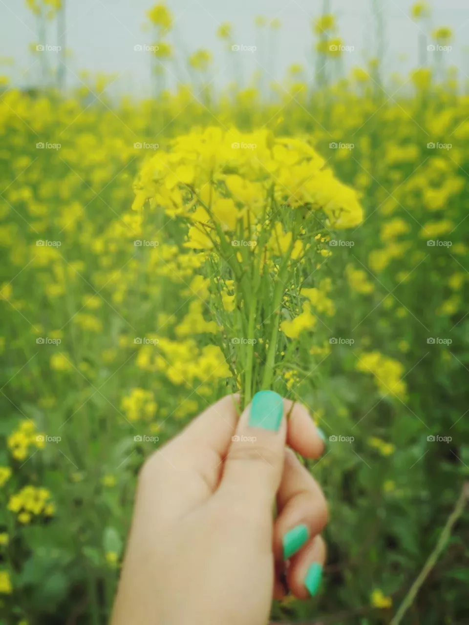 shoot by mi a1