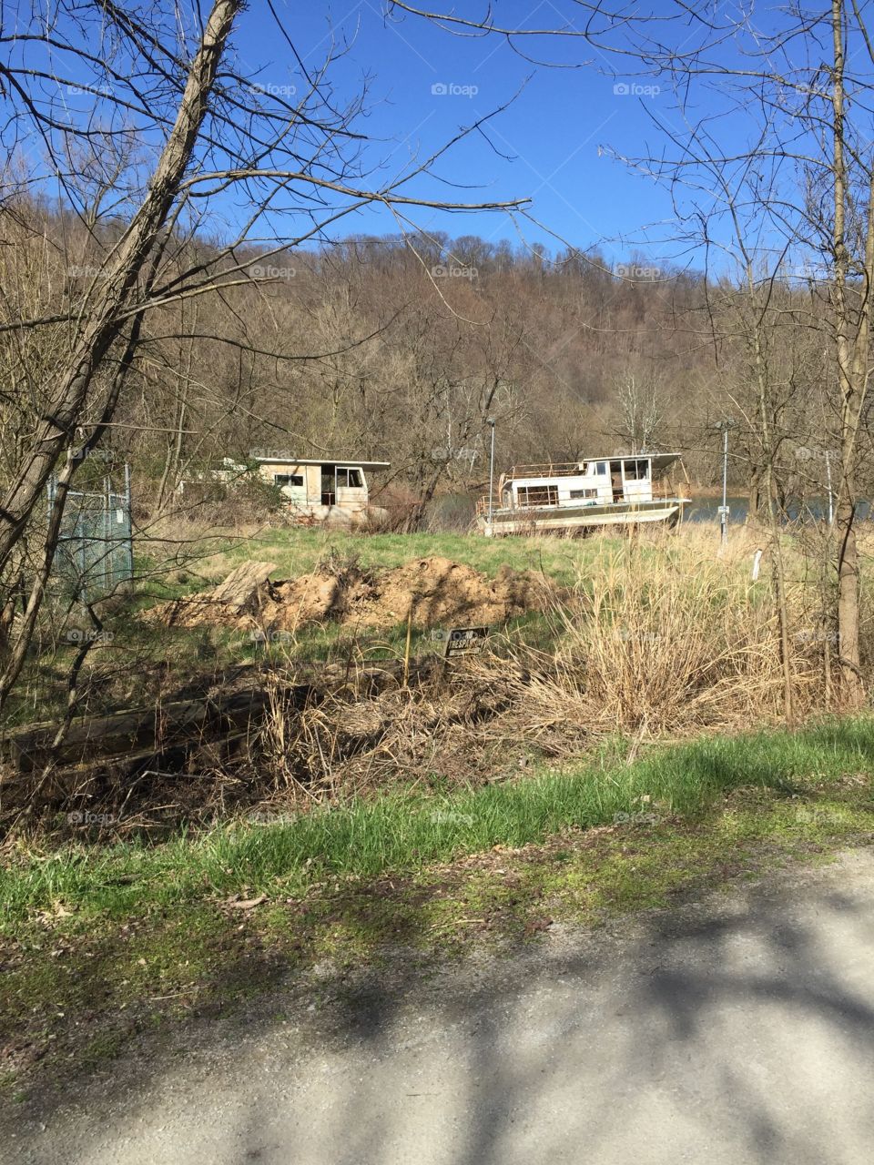 No Person, Landscape, Wood, Tree, Nature