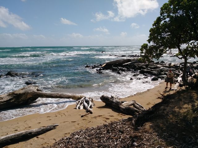 beach on Hilo Hawaii