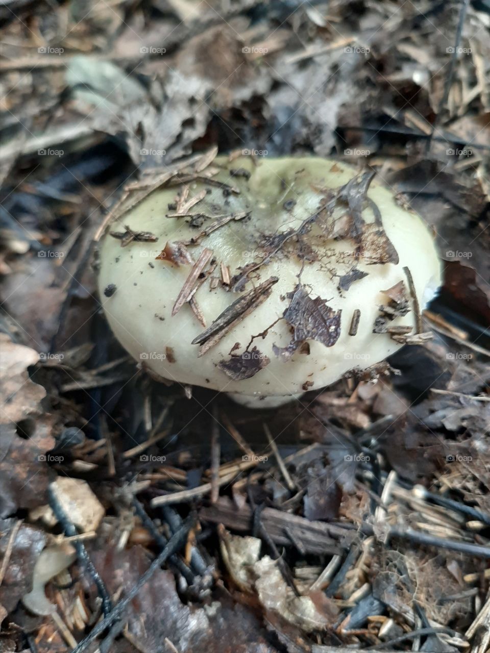 Всё  равно   заметили   его.!