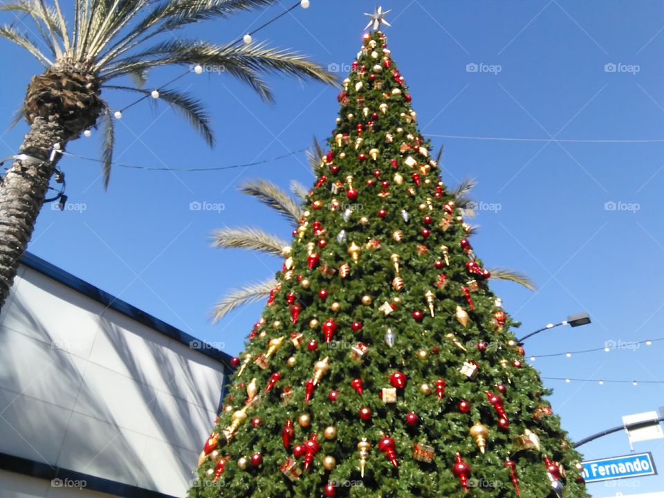 an amazingly huge Christmas tree in a small town somewhere outside of LA
