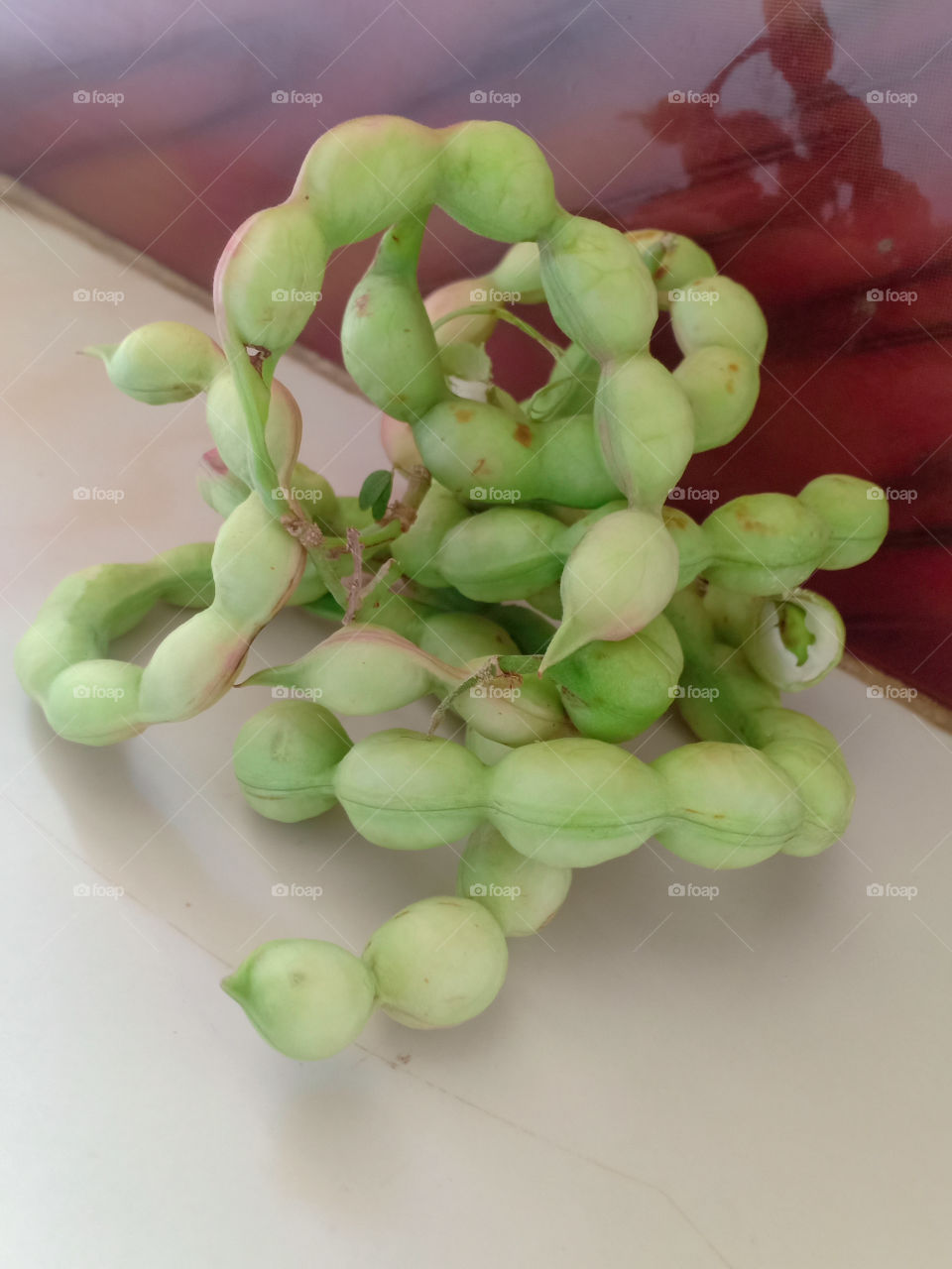 Pithecellobium dulce