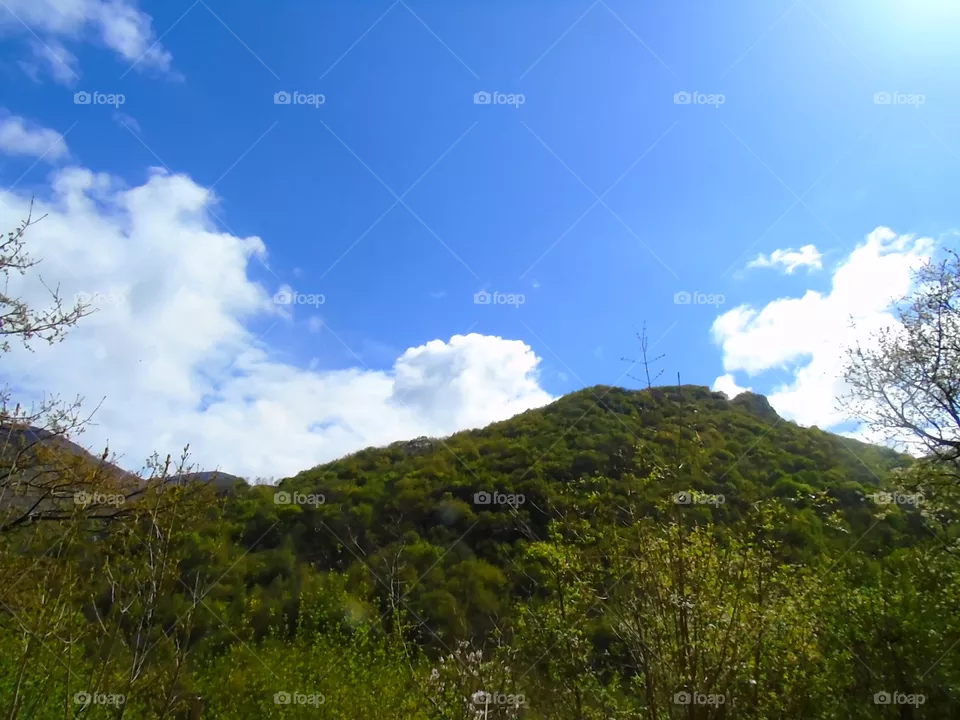 Sky