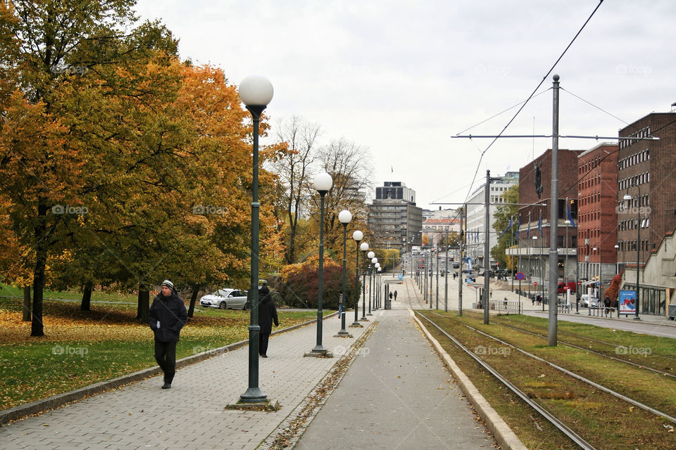 norway tree tram autumn by nader_esk