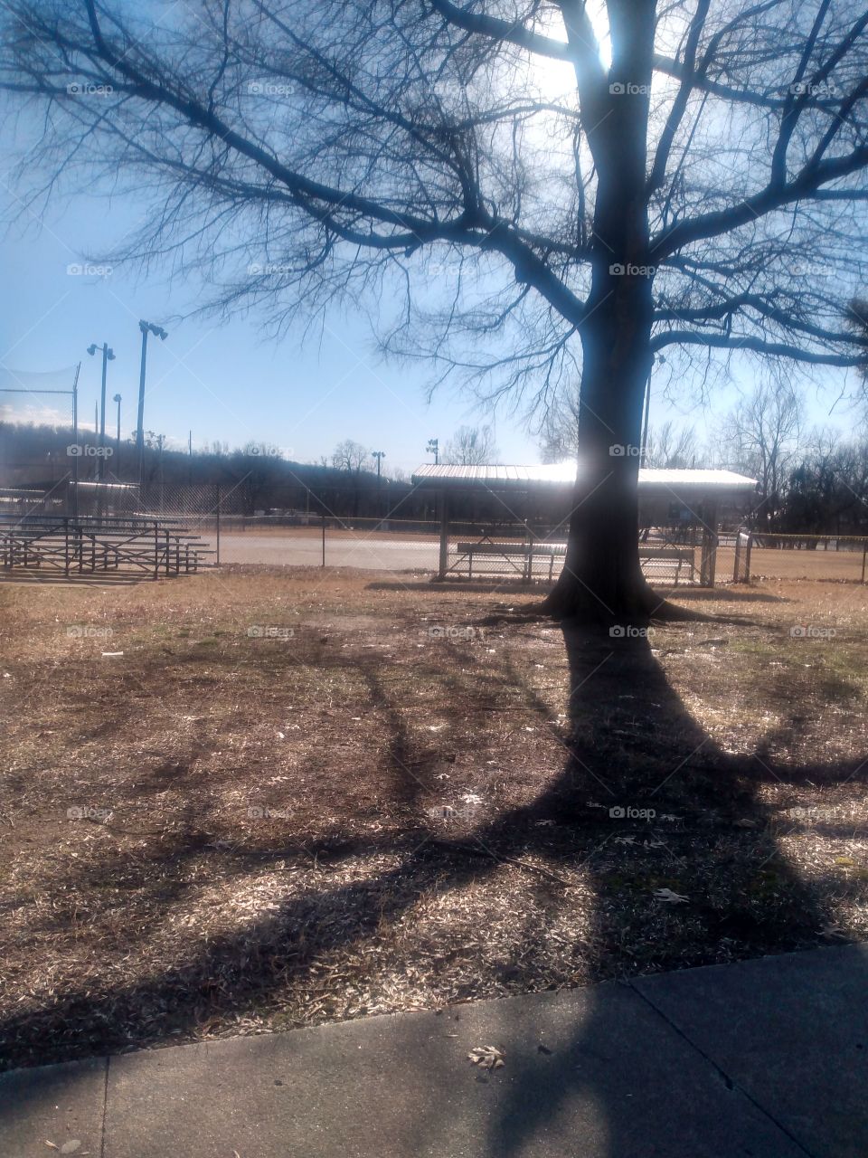 Don't give up hope the sun will shine again. today we were given this day so make it count.