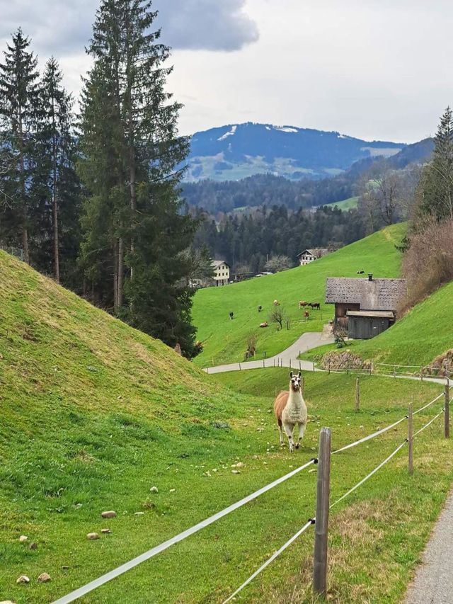 Nature