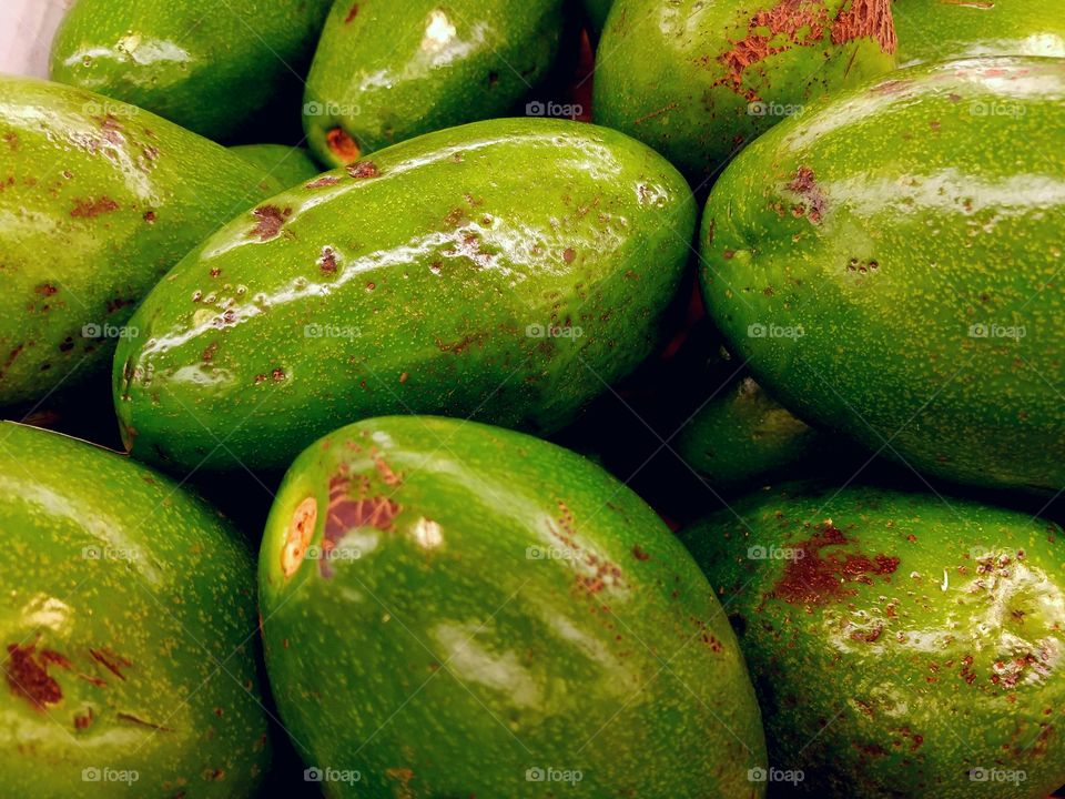 avocado traditional