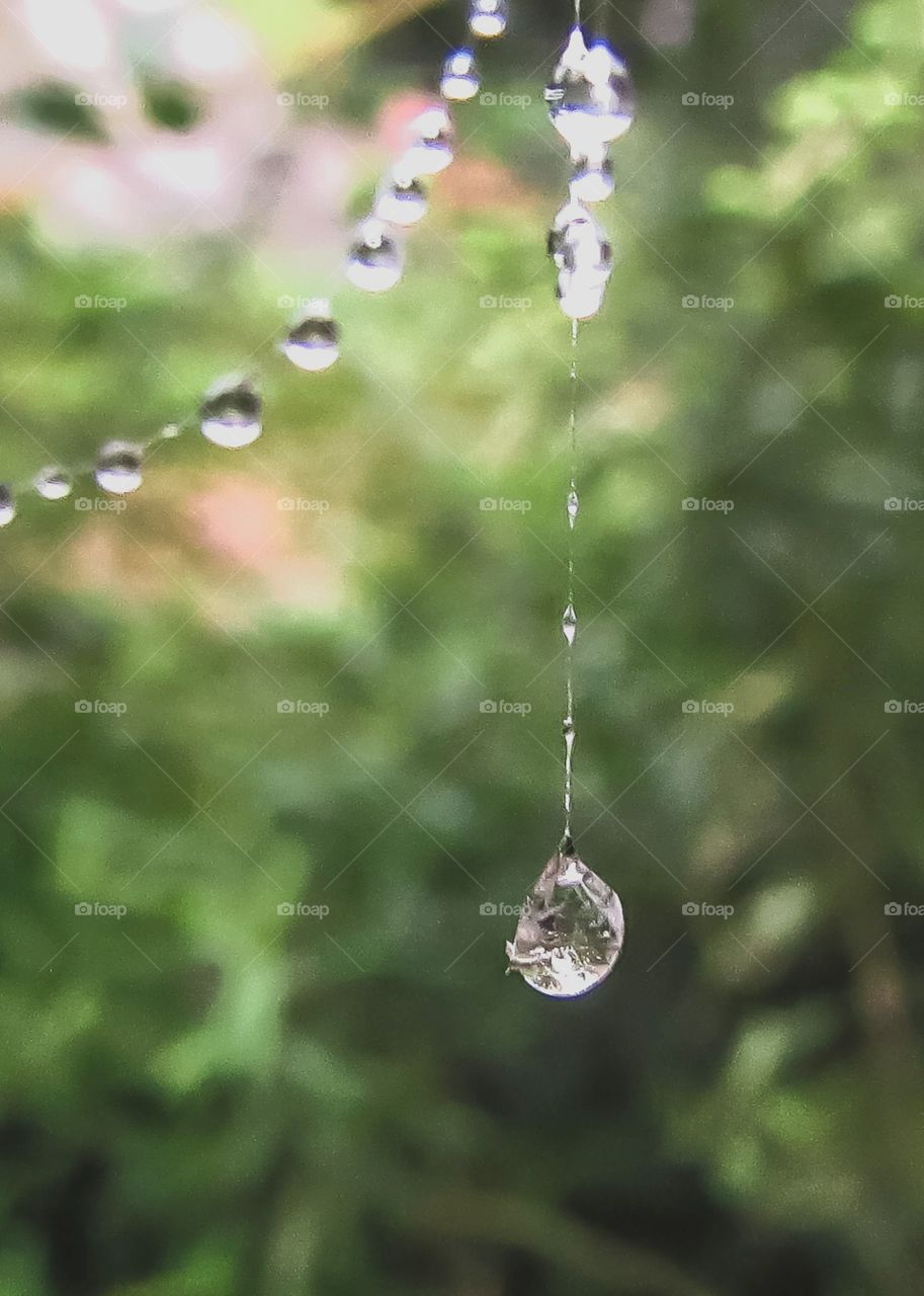 single dew drop hanging from spider web