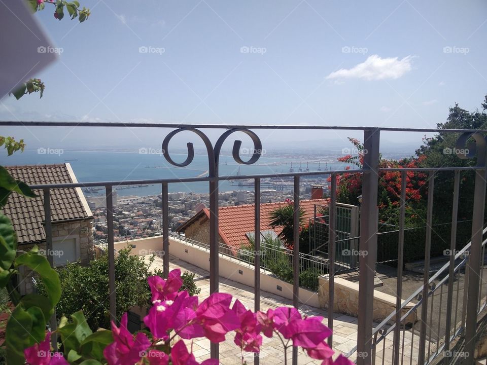 Flowers on a bright sunny day