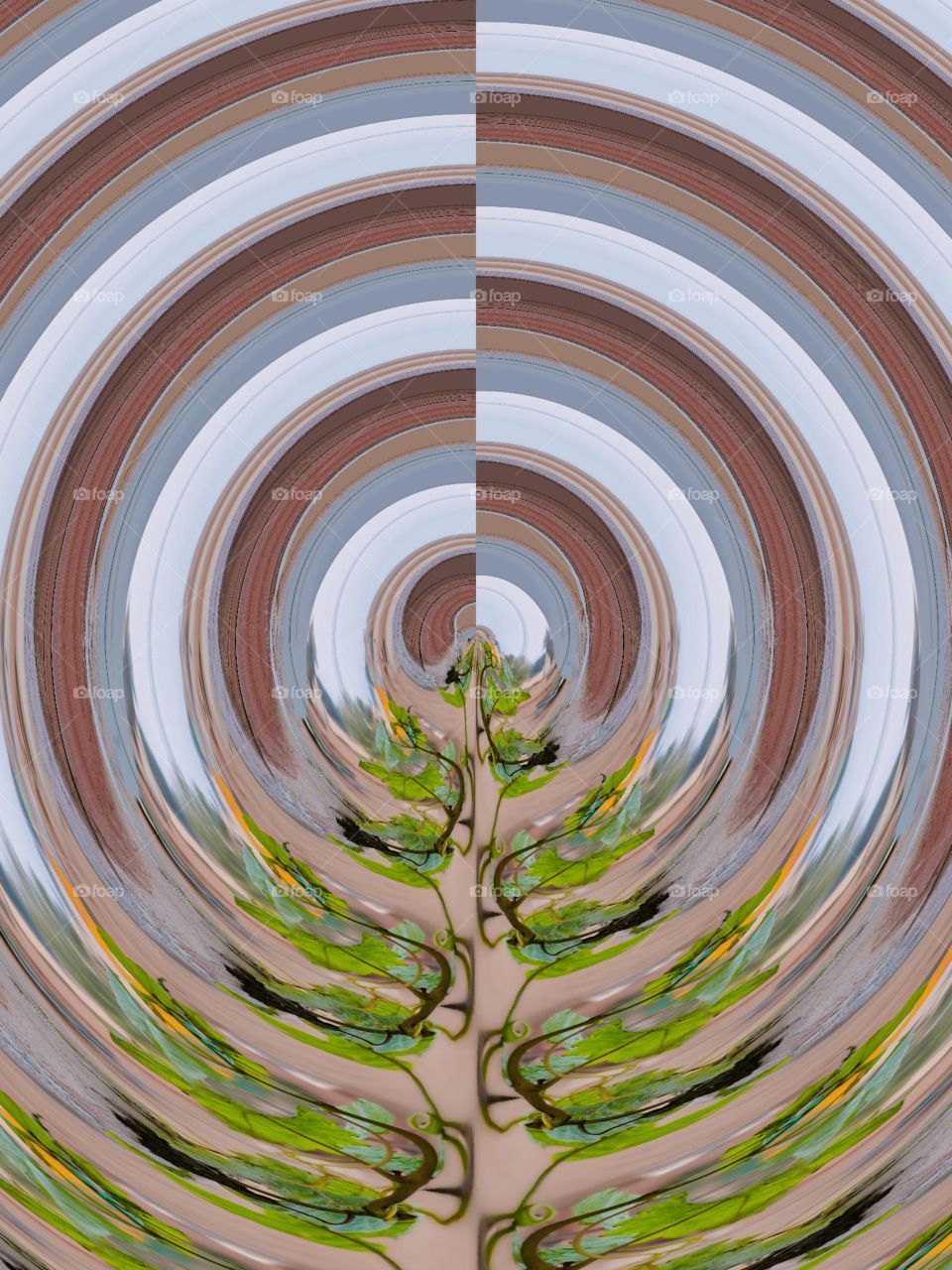 plant illustration editing