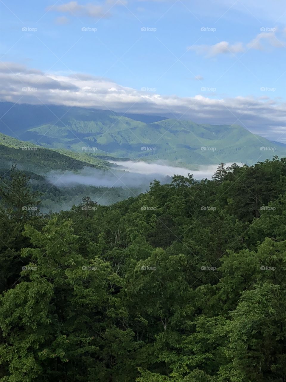 Smokey Mountains in Gatlinburg Tennessee at the end of May. 