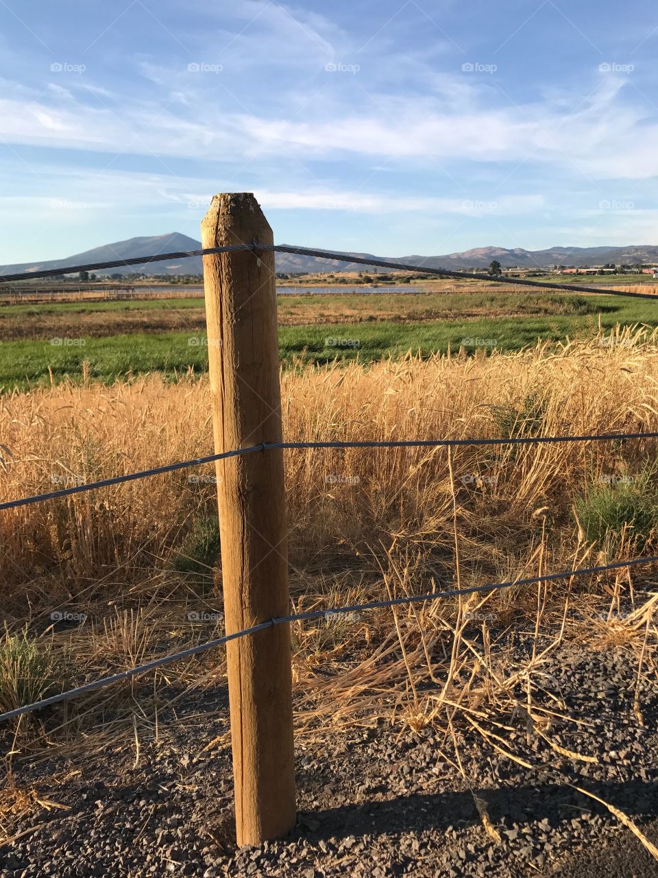 Golden evening light falls upon the Crooked River Wetlands outside of Prineville in in Central Oregon on a pleasant fall day.