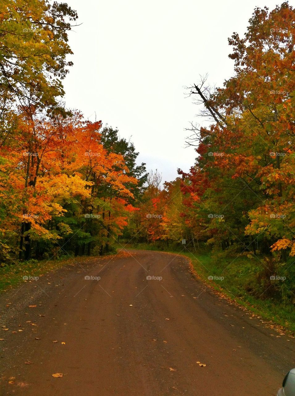 Fall country road 