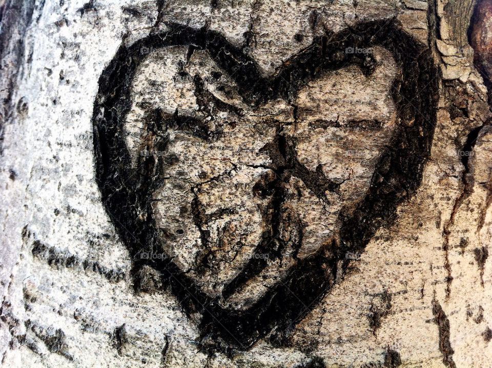 wood tree heart drawing by portokalis
