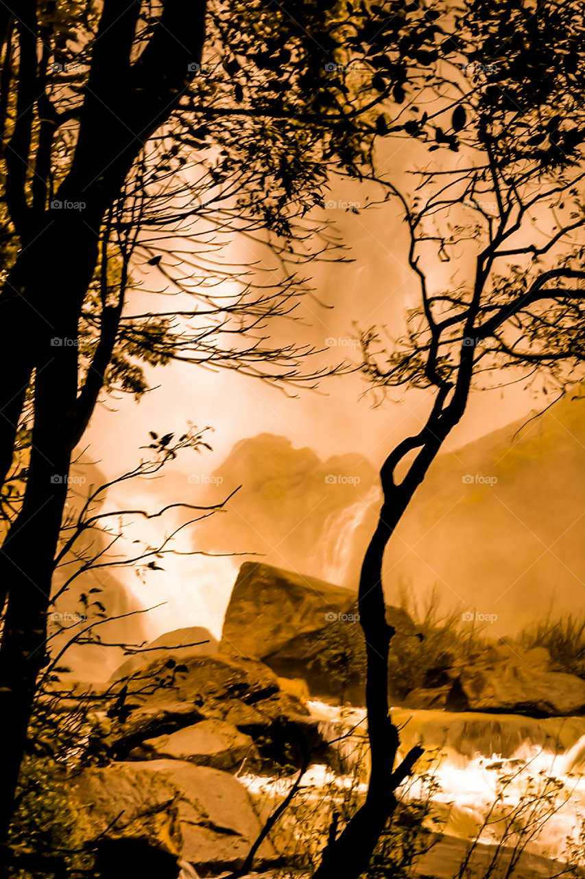Beautiful evening near waterfall with tree silhouette , Sri lanka