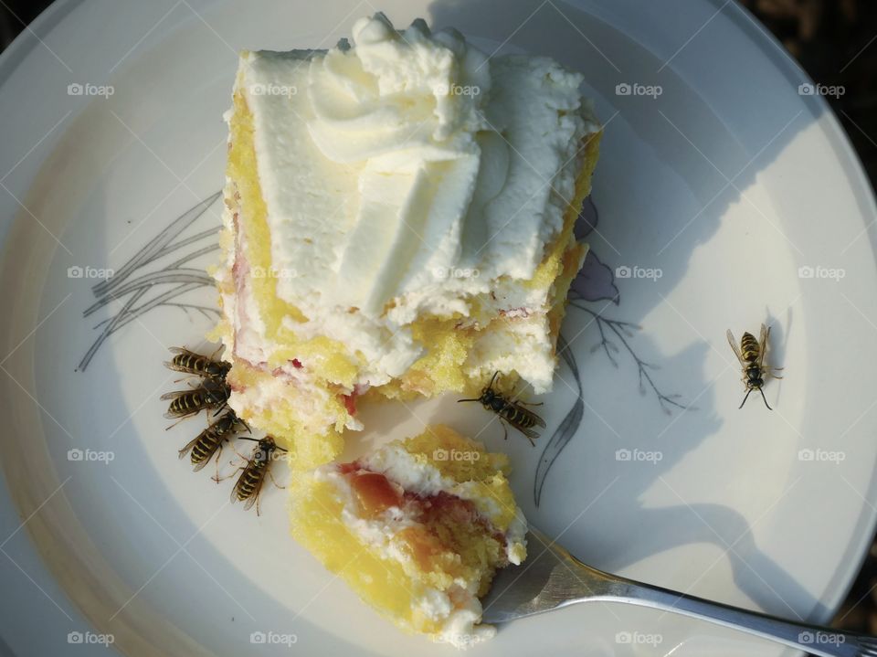 Wasps on cake