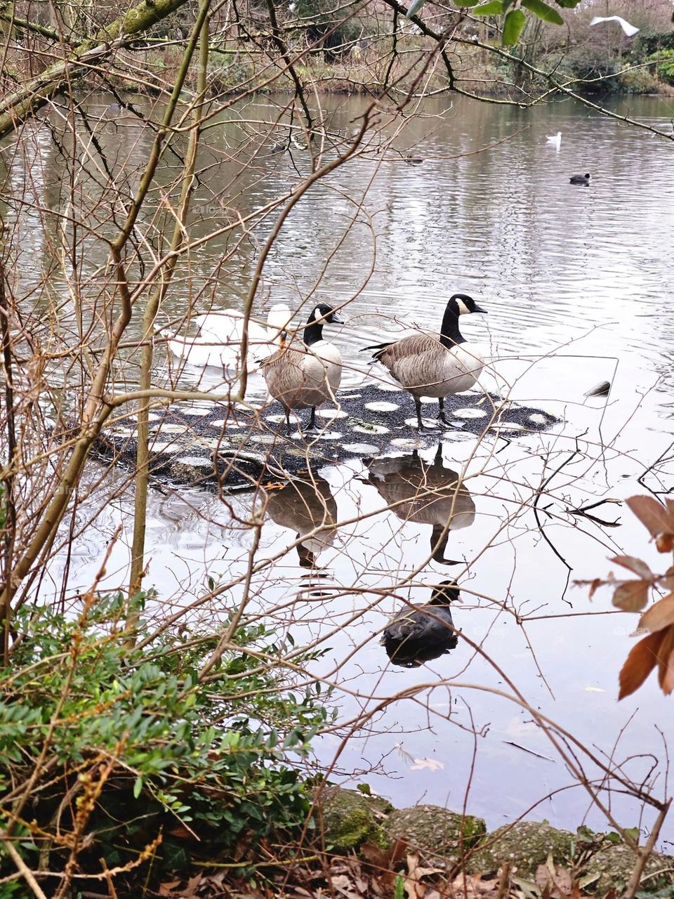 It's more beautiful in company.