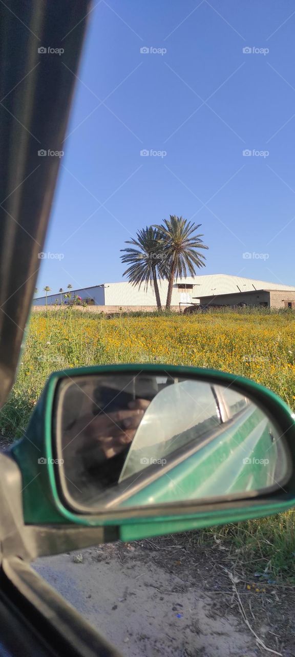 The image through the mirror of the car is a beautiful sight