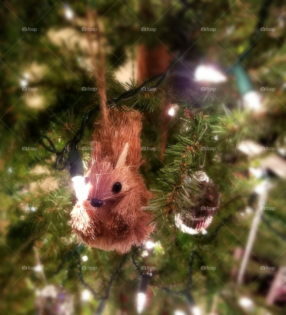 Christmas Squirrel