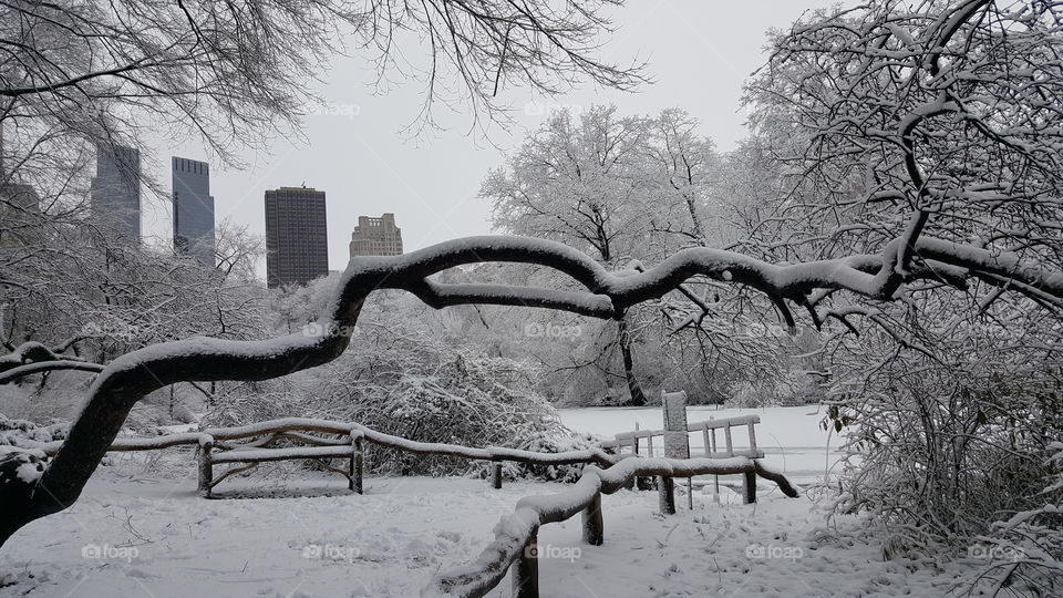 Winter in New York City. 🗽❄❄❄⛇☃🌨🌨🎄❄