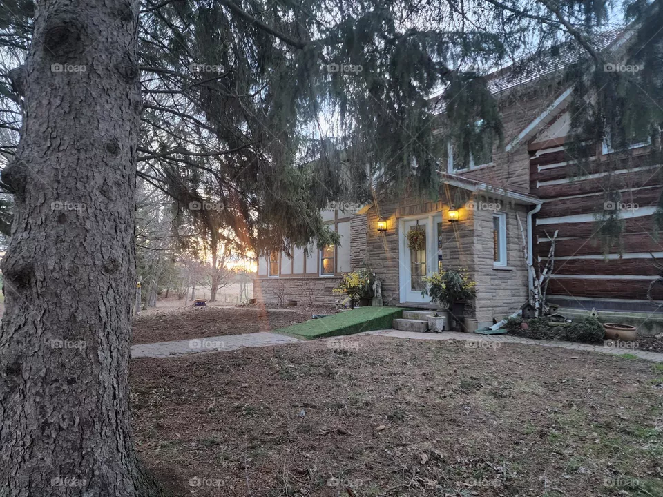 morning view of cottage