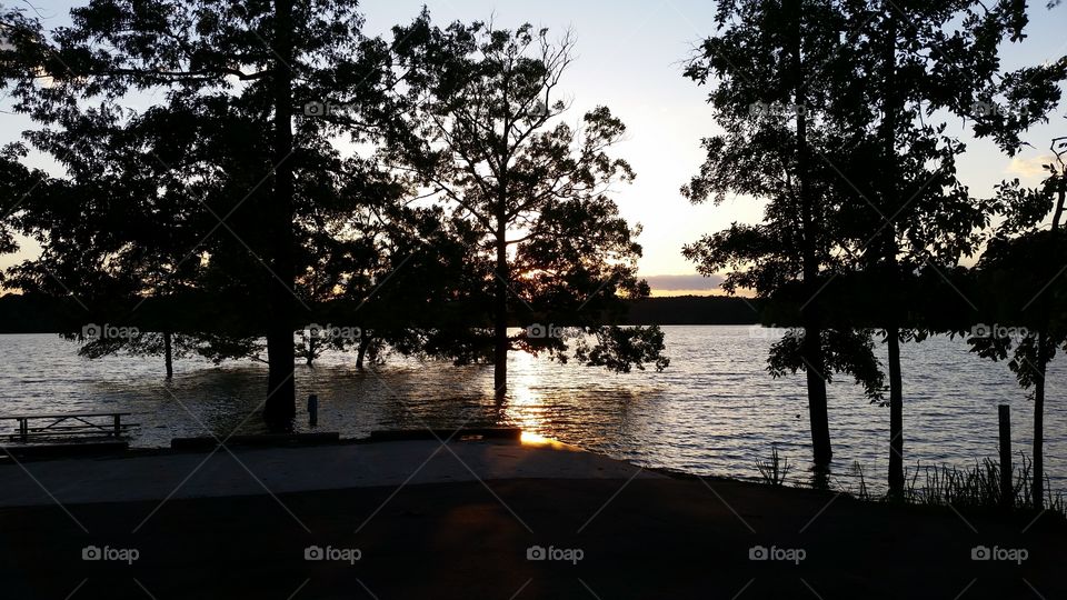 Tree, Water, Lake, Reflection, Landscape