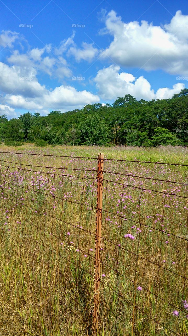 No Person, Nature, Fence, Landscape, Agriculture