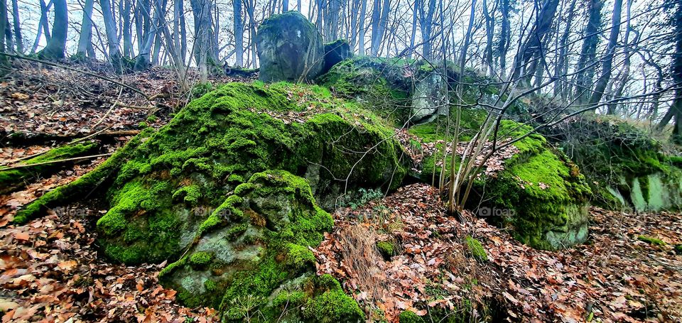 Moss Rocks