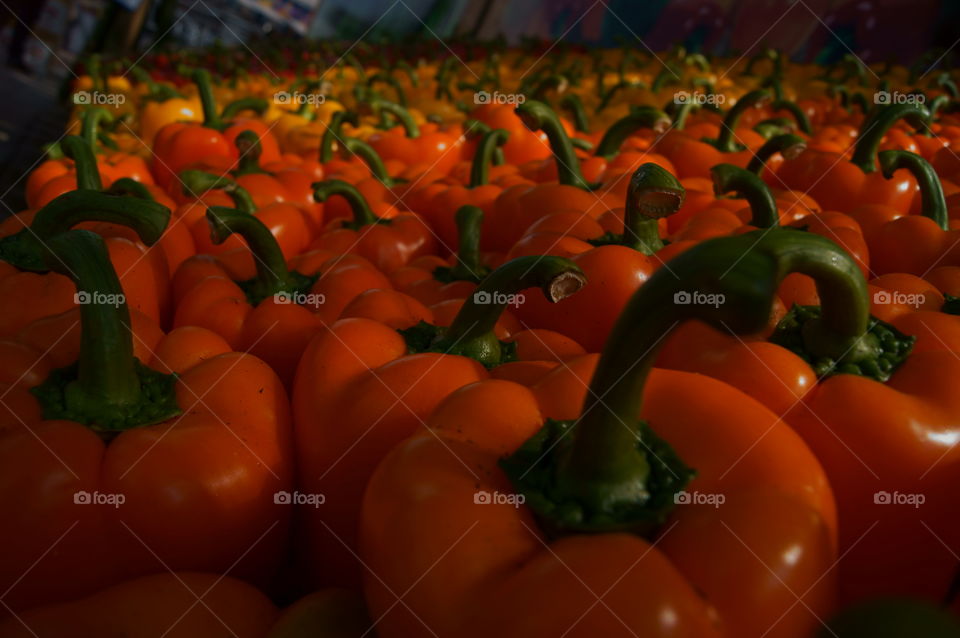 Capsicums