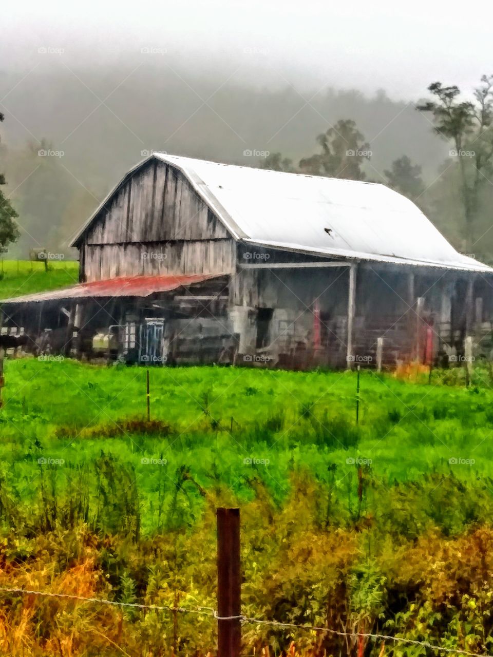 An old, dilapidated barn in the country on a rainy, foggy morning.