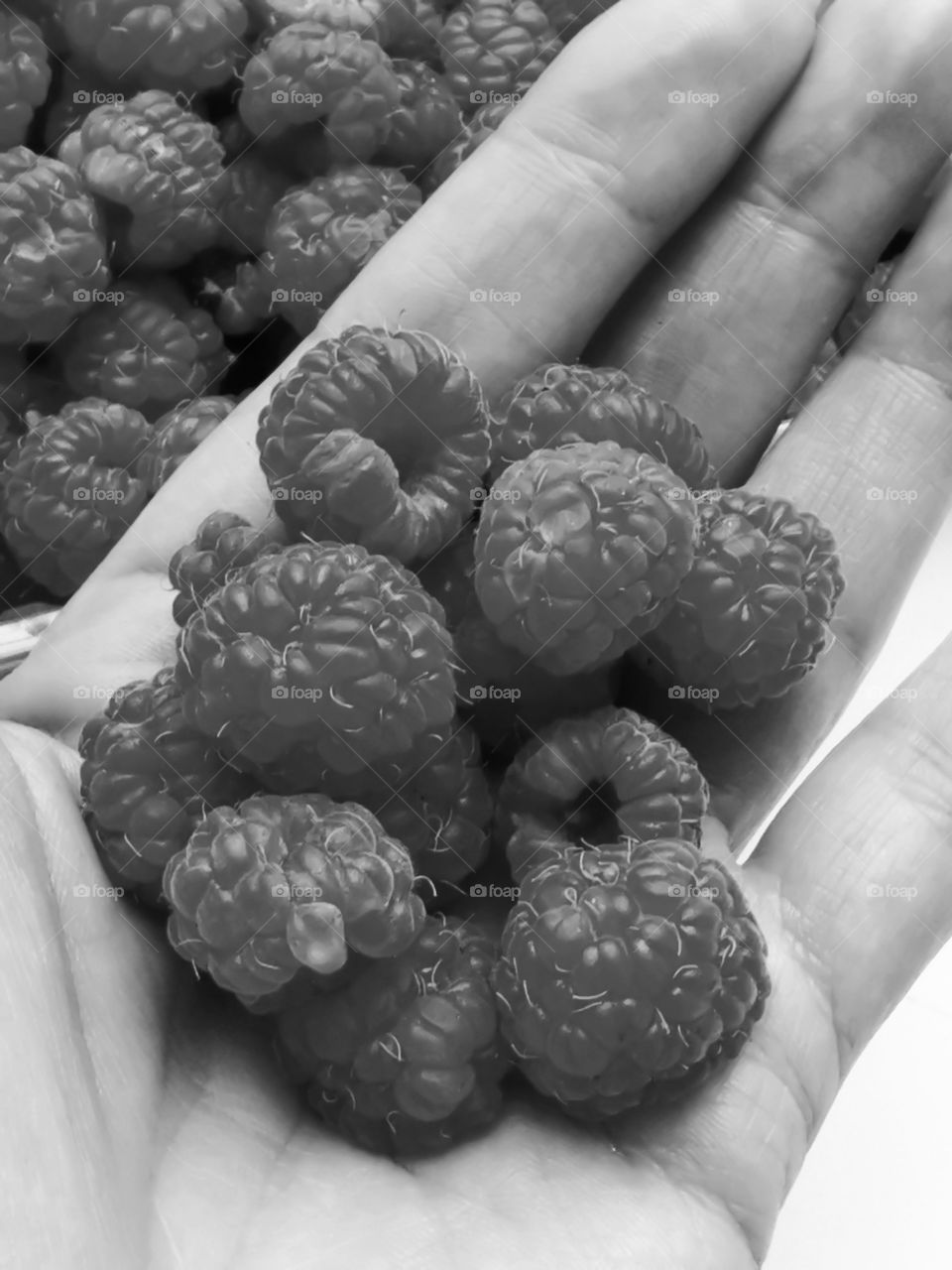 Fromboise berry hand happy view bio fresh yummy healthy Red raspberry nature eco vegan juicy fruits