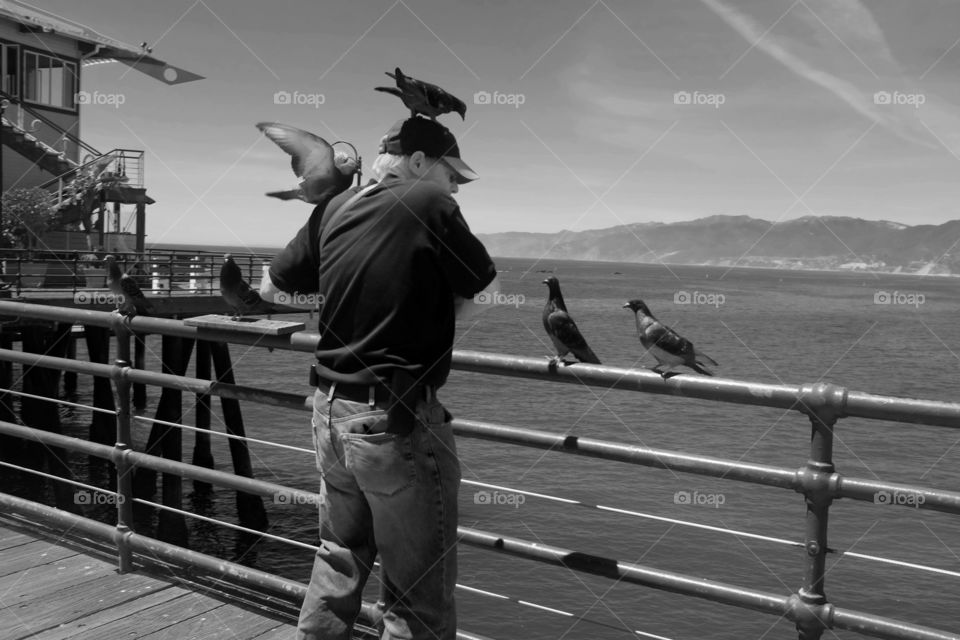 This man was feeding the birds, It's just beautiful... capturing life behind my lens. Taken at Santa Monica pier, California