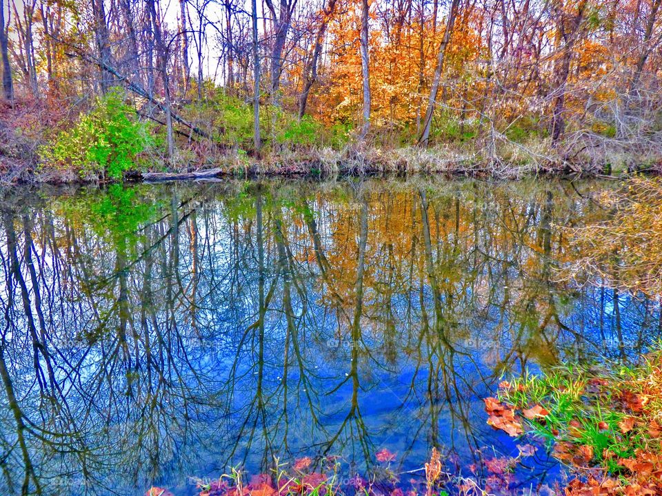 River fall reflection 