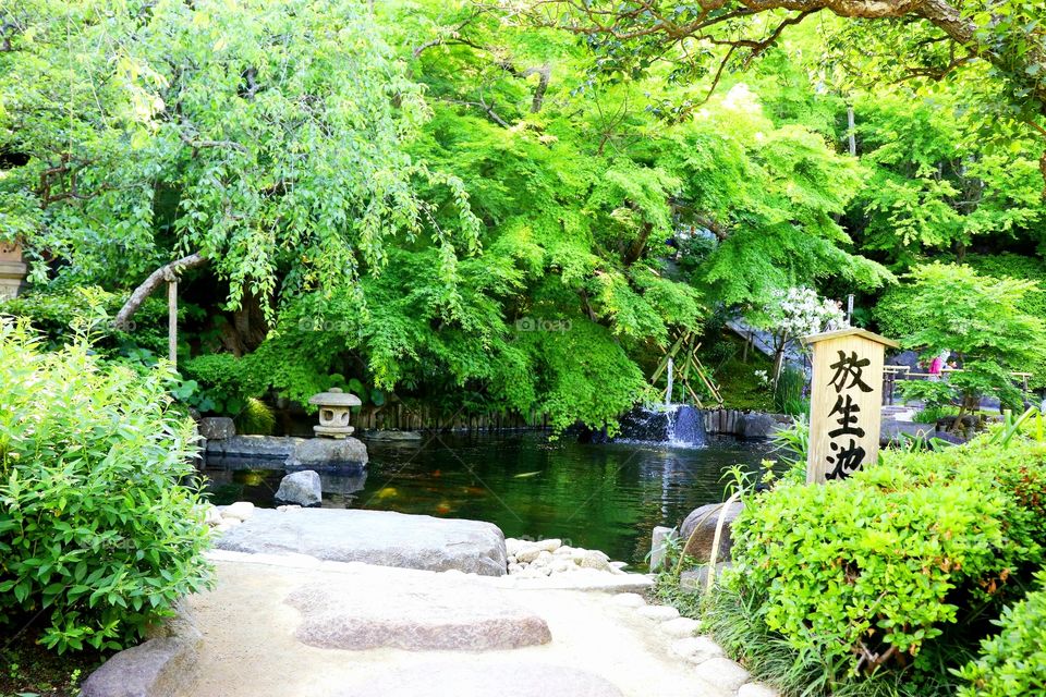 Nihon Kouen (Japanese Park)