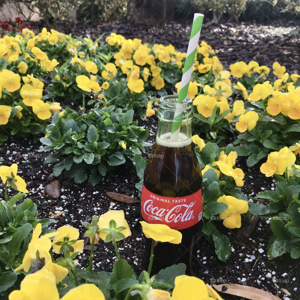 Coca-Cola photography mission 