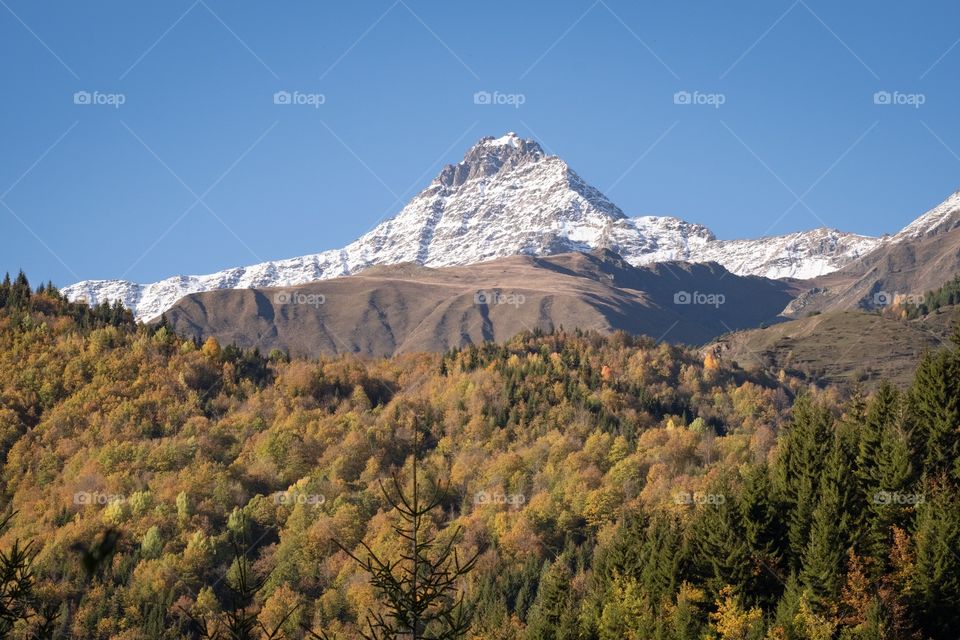 Colorful autumn scene of mountain scape along the way in Georgia 