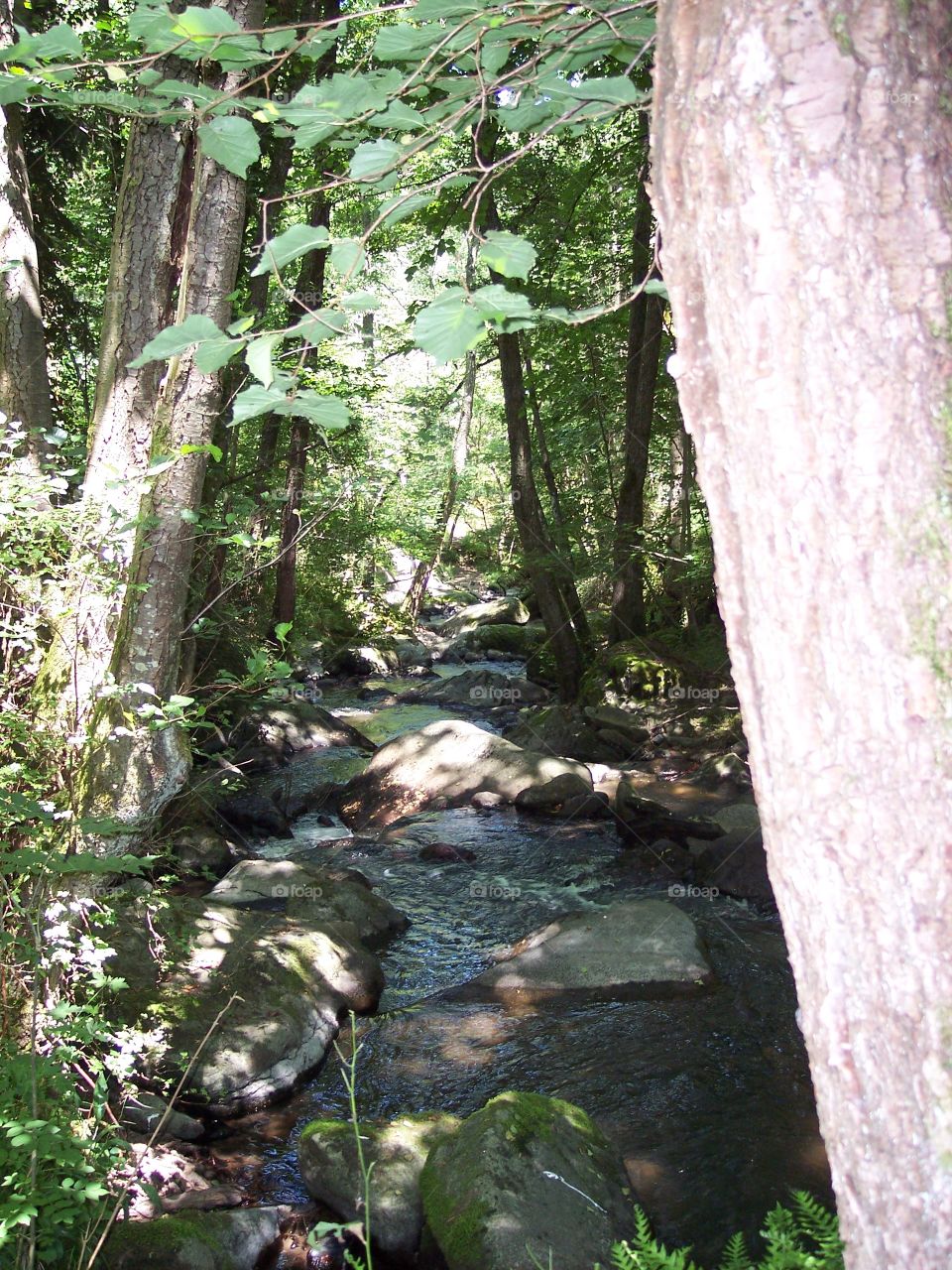 French river