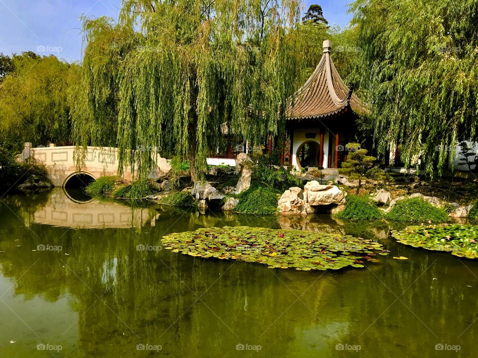 Japanese garden 