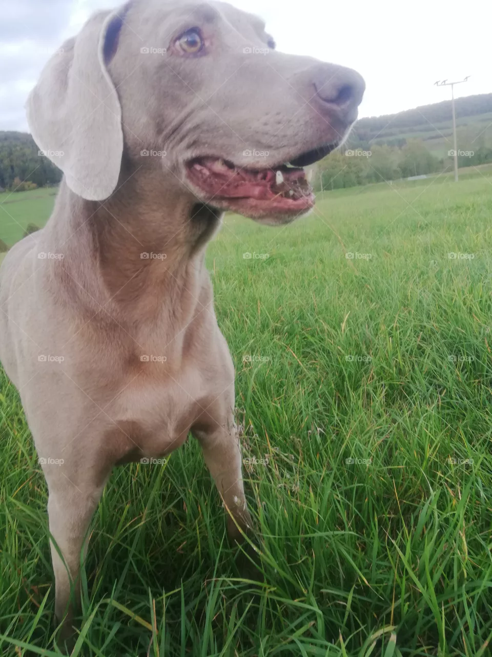 Ruby