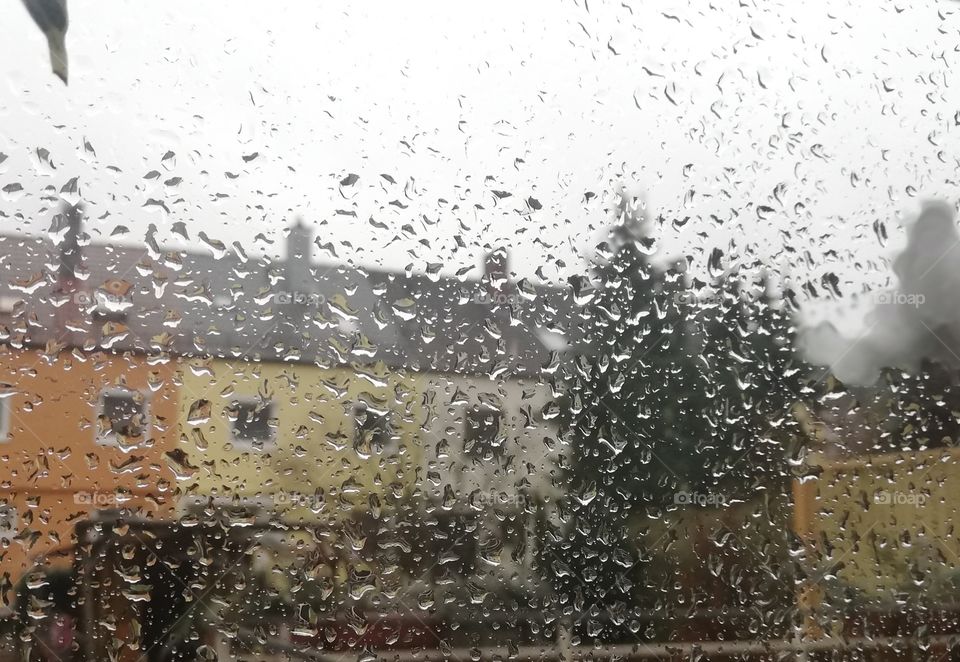 Wasser Regen Fenster
