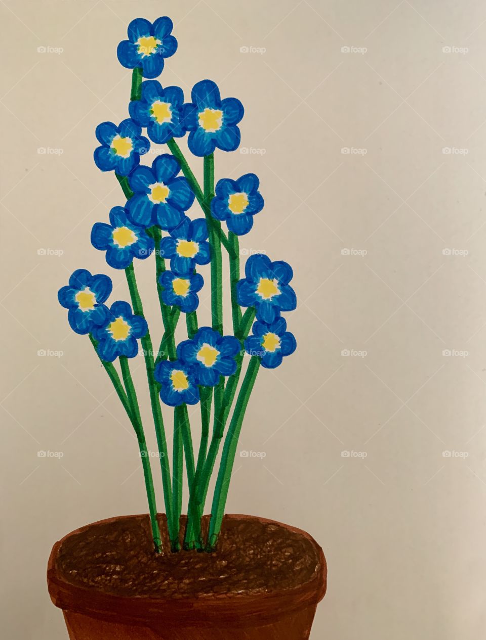 Drawing of Blue forget me not flowers in a flowerpot.
