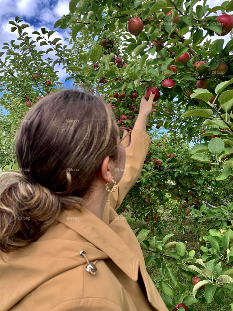 Beautiful apple picking day 🍎