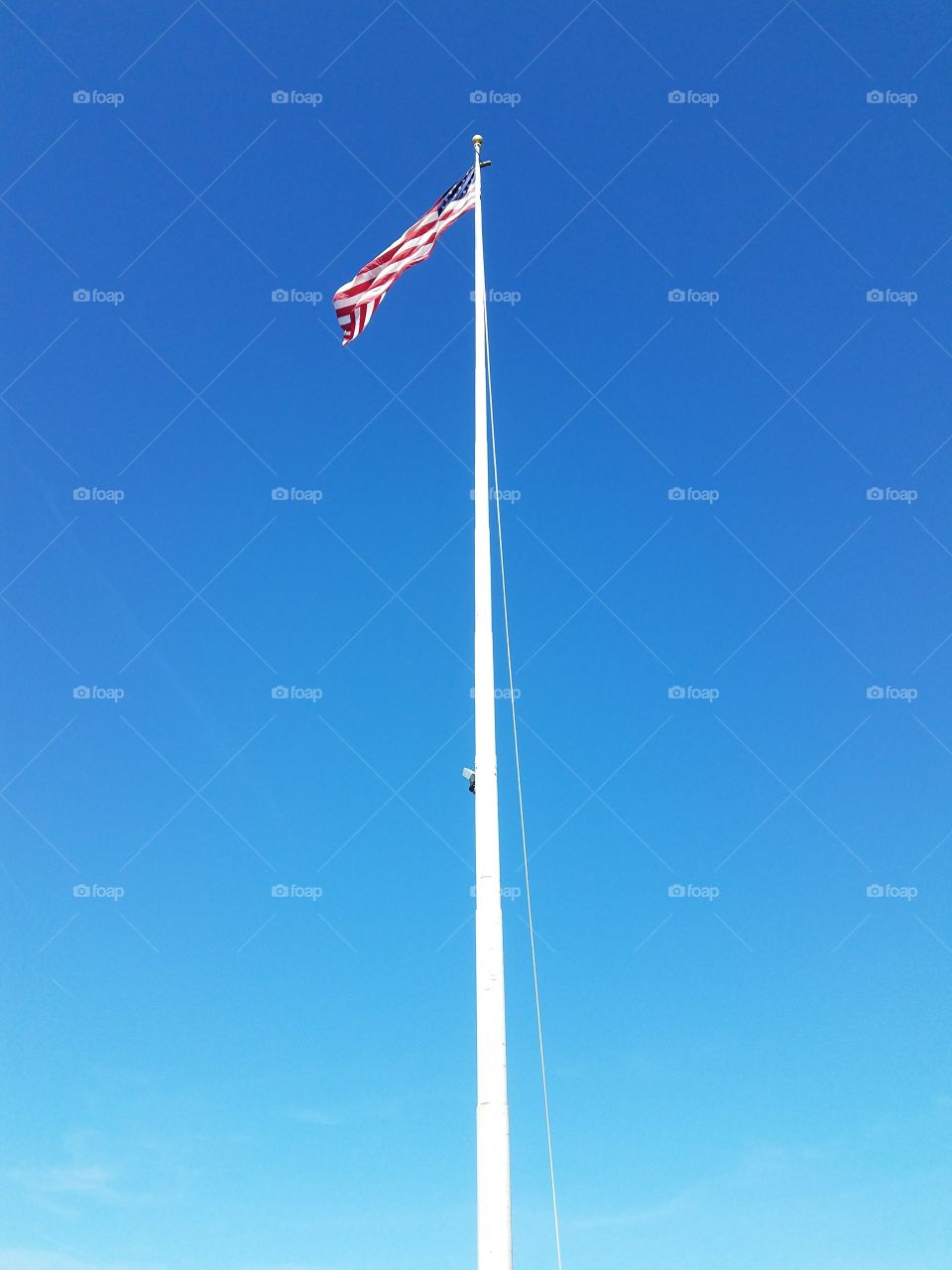 The American flag 