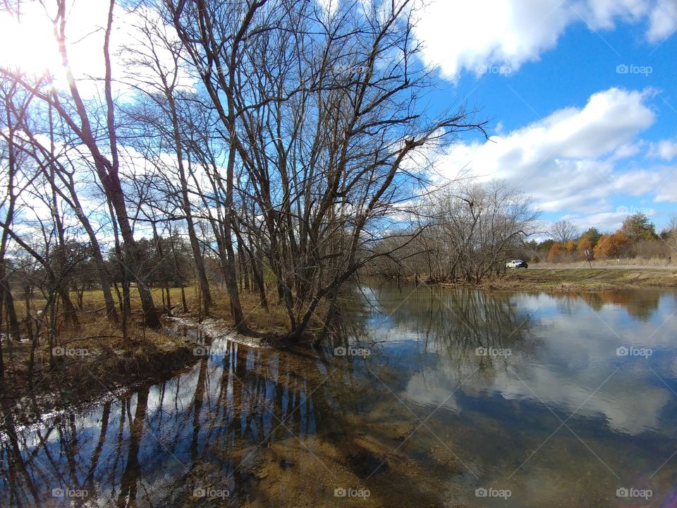 Bare tree reflected in lake